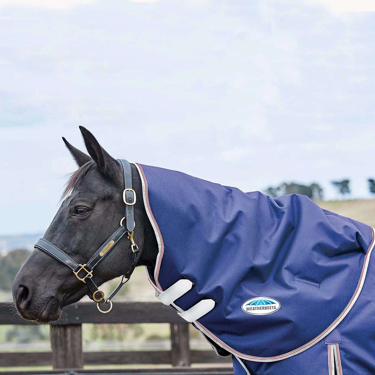 Halsstuk WeatherBeeta ComFiTec Essential Medium 220gr Donkerblauw-zilver