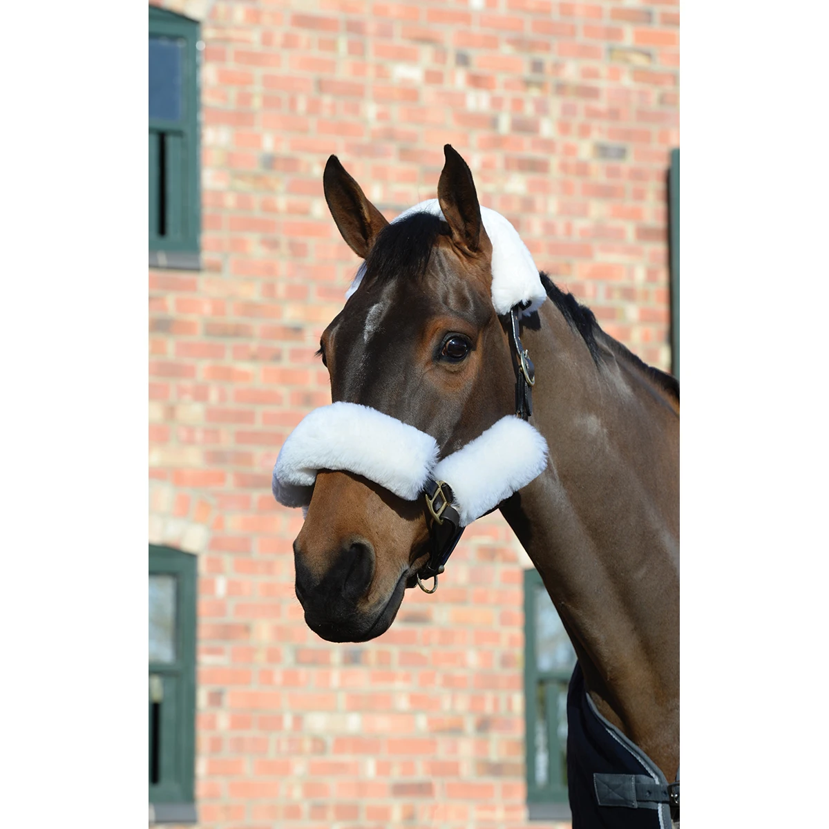 Halster Bontjes WeatherBeeta Merino Sheepskin 4-Pack Wit