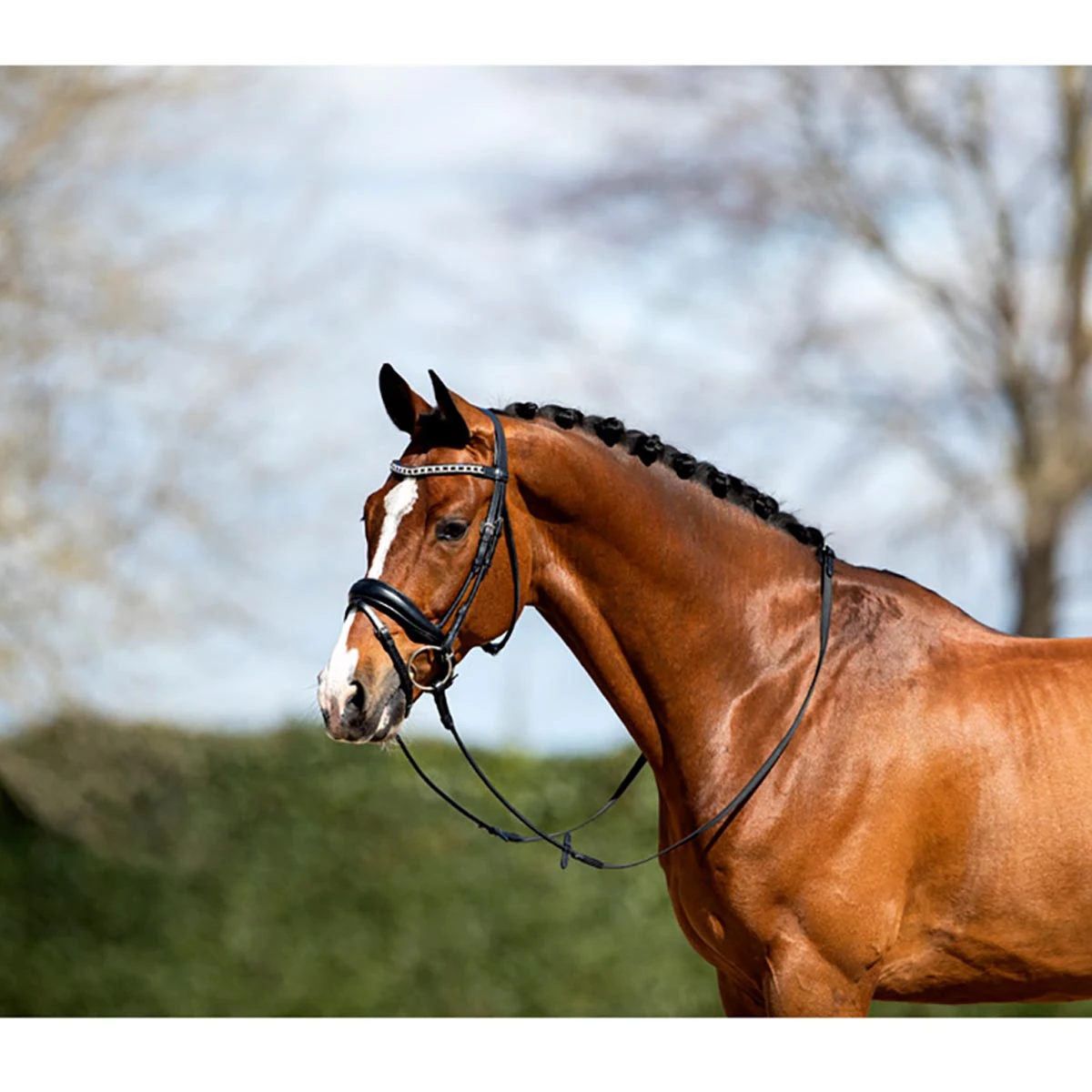 Hoofdstel Anky Comfort Fit Combined Black-black - Afbeelding 3