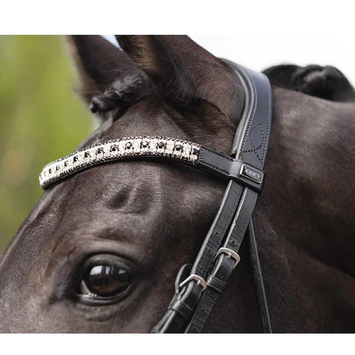 Hoofdstel Anky Comfort Fit Combined Black-black - Afbeelding 5