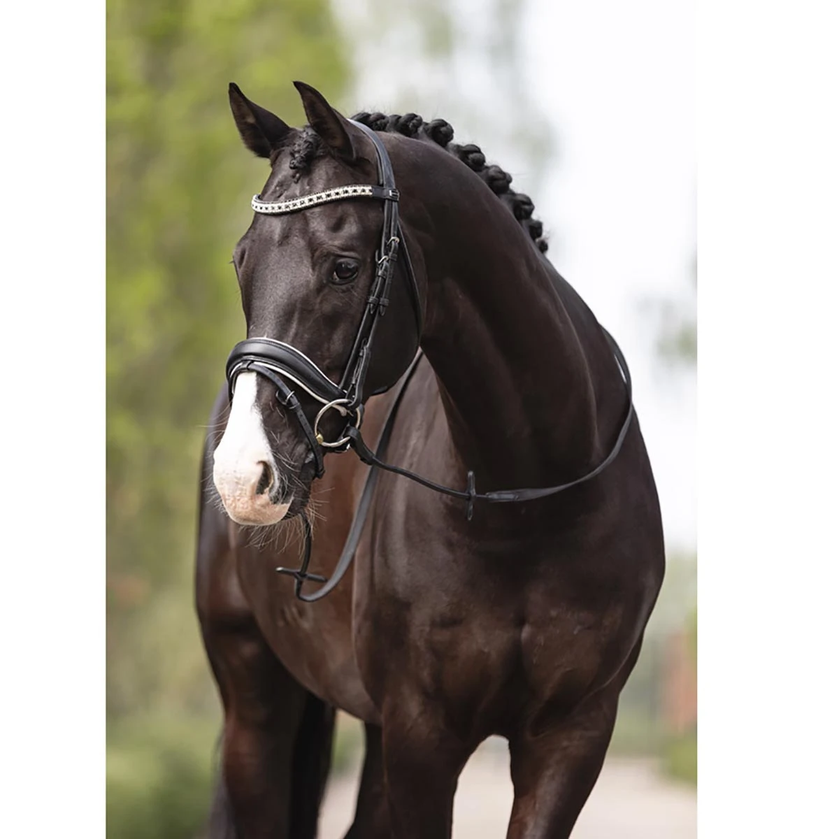 Hoofdstel Anky Comfort Fit Combined Zwart-wit - Afbeelding 2