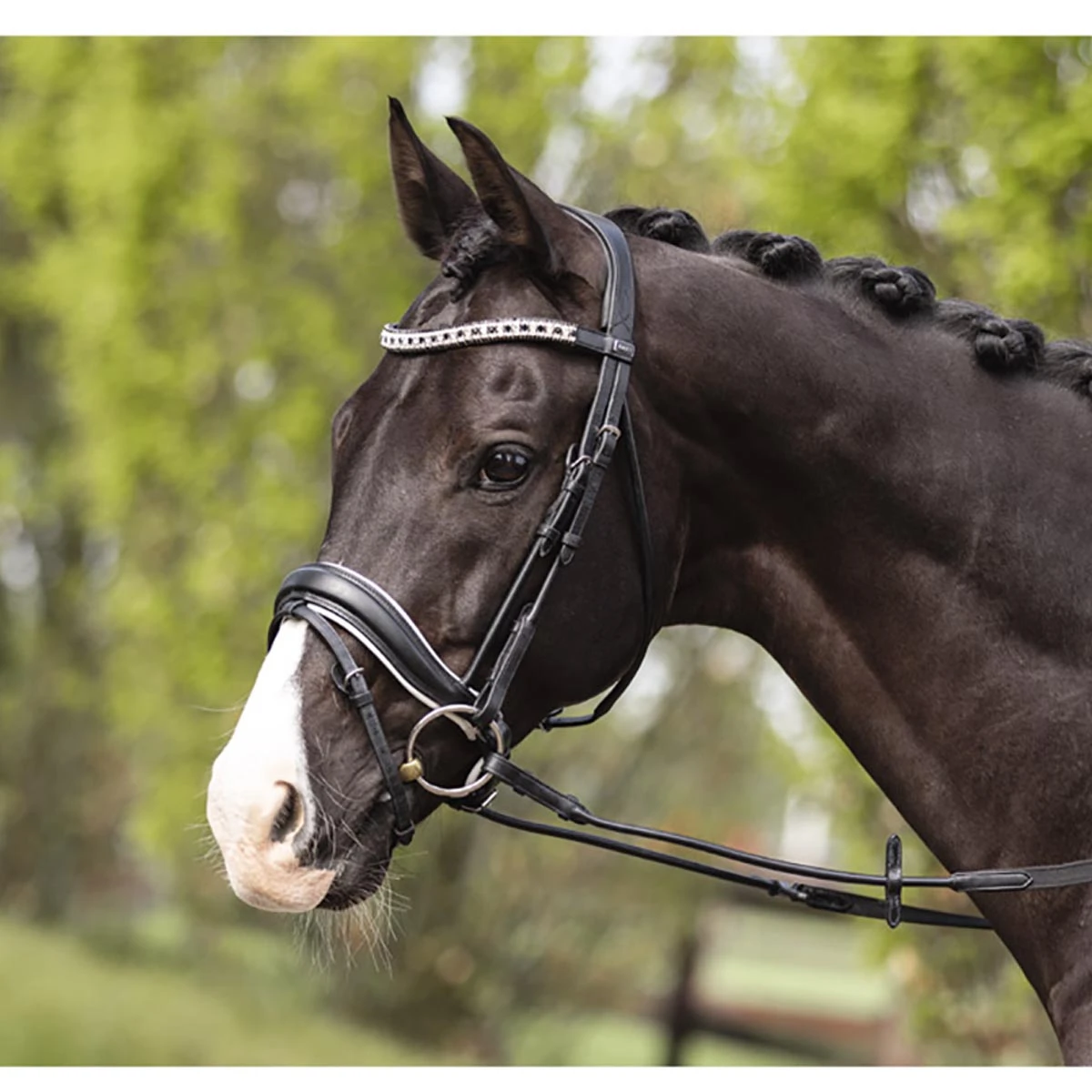 Hoofdstel Anky Comfort Fit Combined Zwart-wit - Afbeelding 3