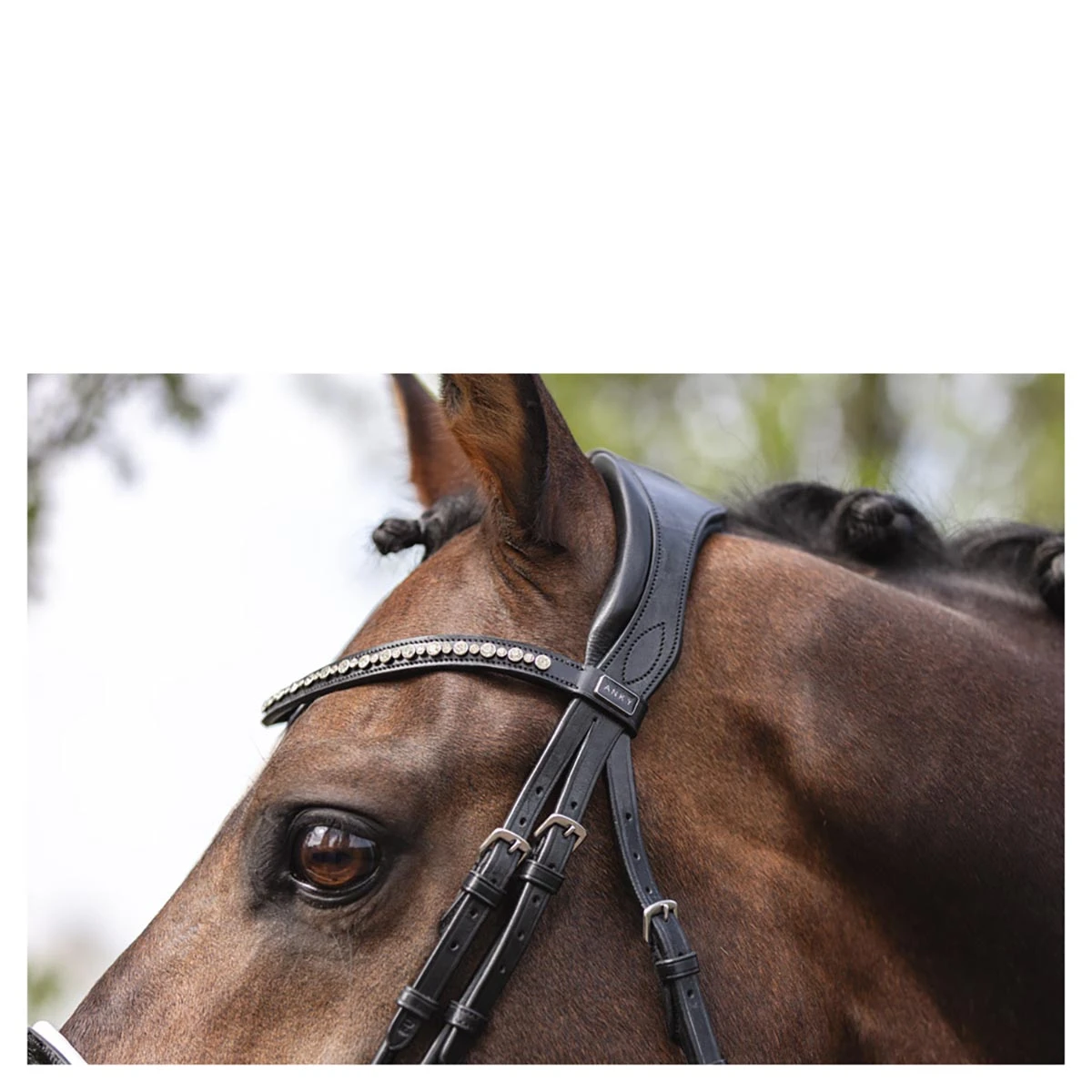 Hoofdstel Anky Comfort Fit Double Anatomical Zwart-wit - Afbeelding 3