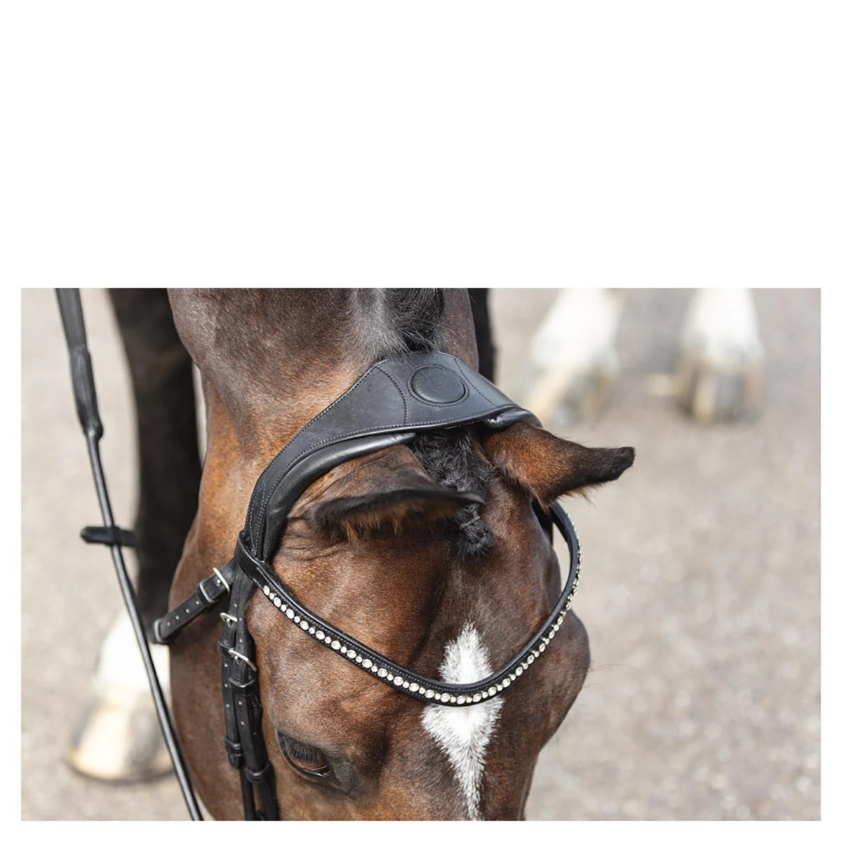 Hoofdstel Anky Comfort Fit Double Anatomical Zwart-wit - Afbeelding 4