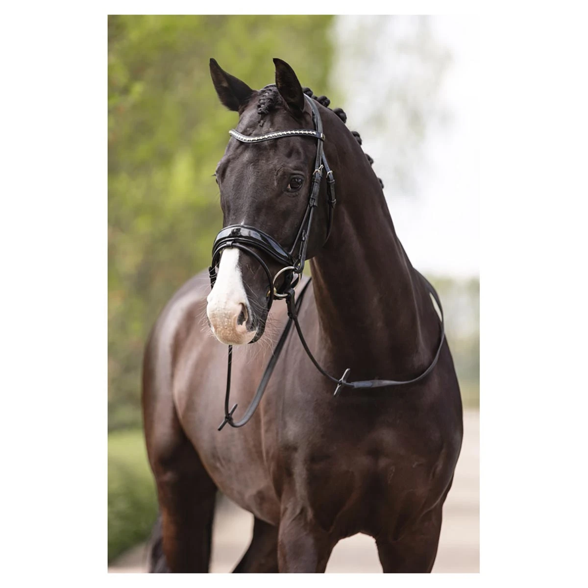 Hoofdstel Anky Comfort Fit Double Anatomical Zwart - Afbeelding 2