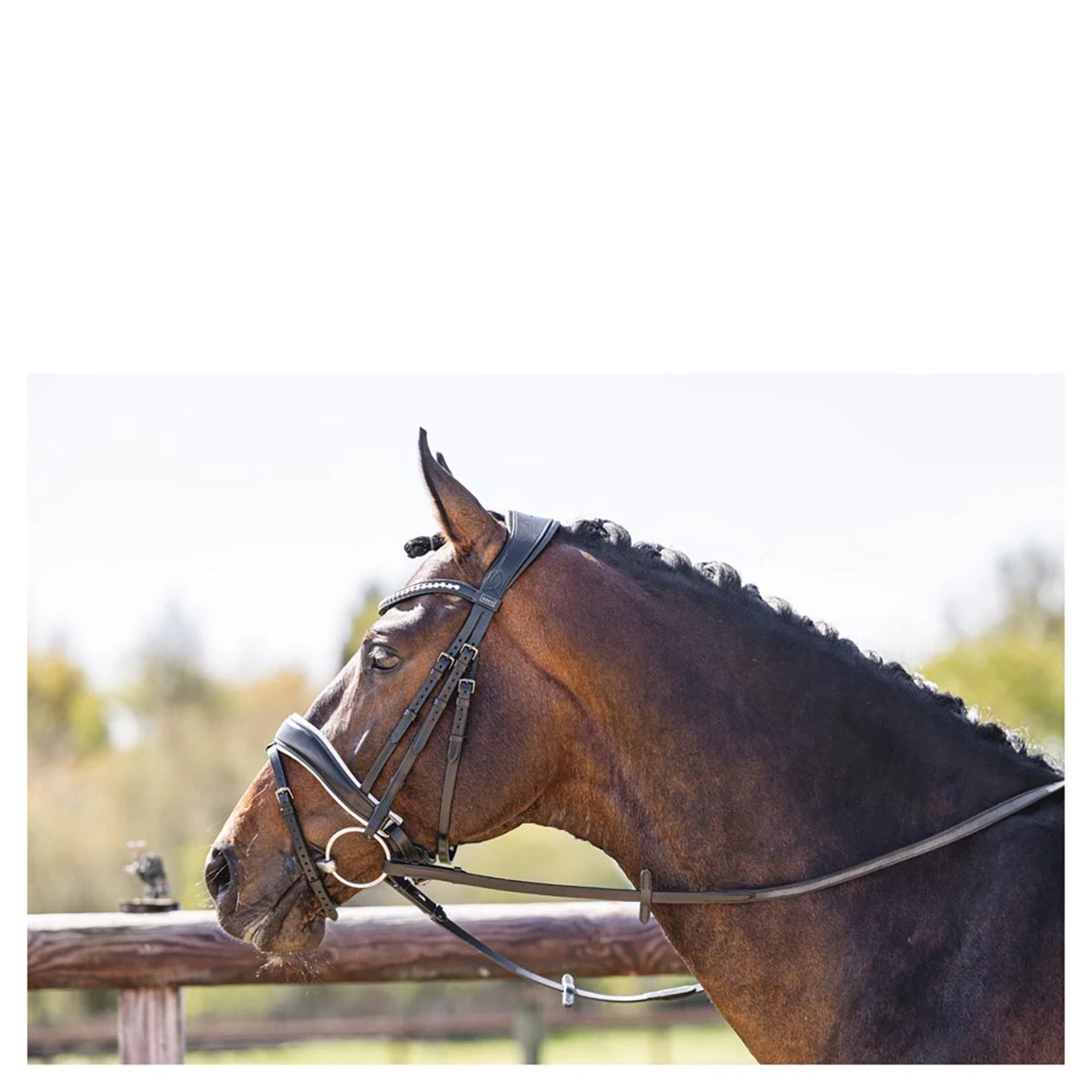 Hoofdstel Anky Pullback Zwart-wit - Afbeelding 2