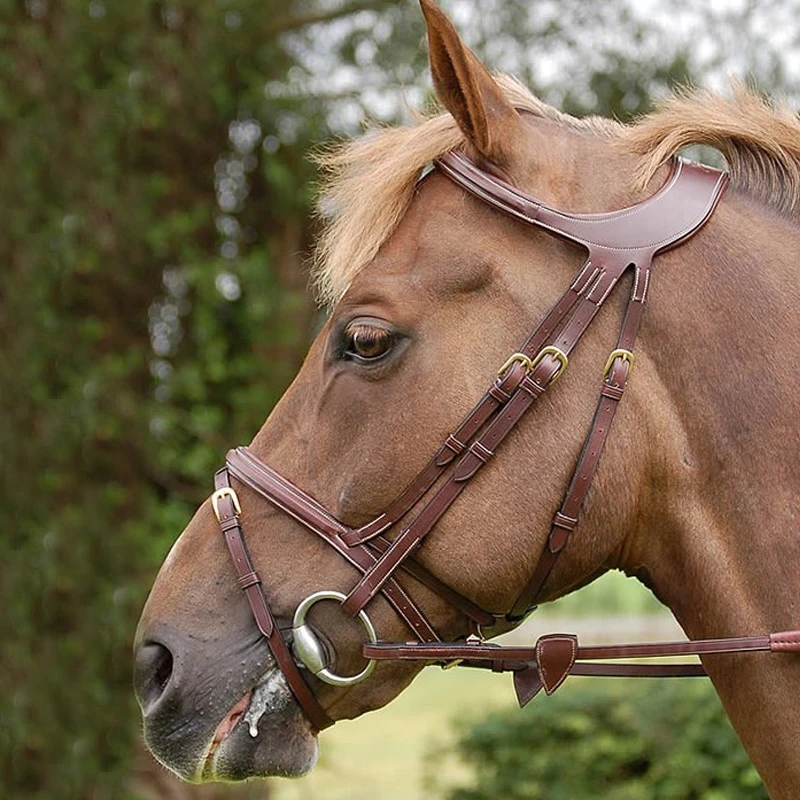 Hoofdstel Dy'on Difference Bruin - Afbeelding 3