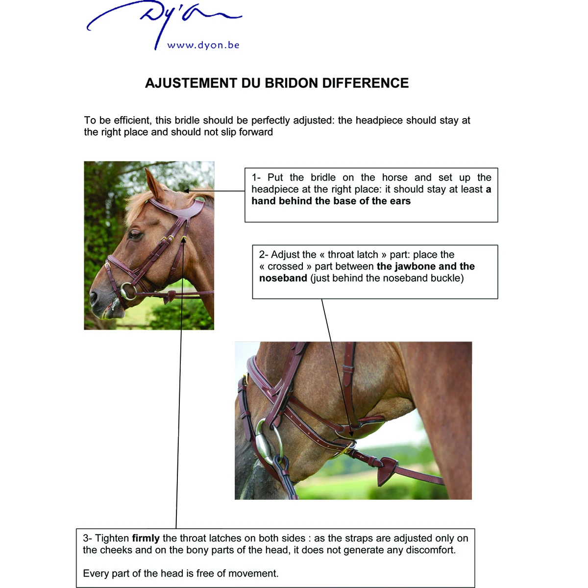 Hoofdstel Dy'on Difference Bruin - Afbeelding 7