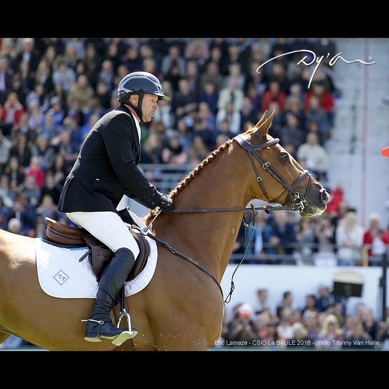 Hoofdstel Dy'on Difference Bruin - Afbeelding 8