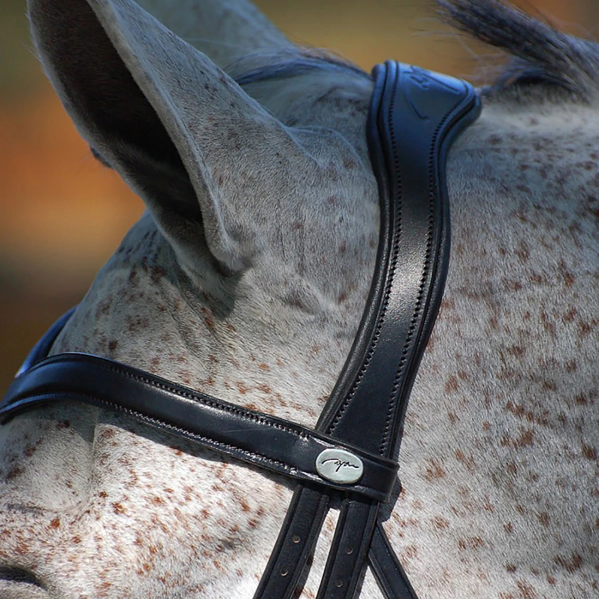 Hoofdstel Dy'on DRC Drop Zwart - Afbeelding 4