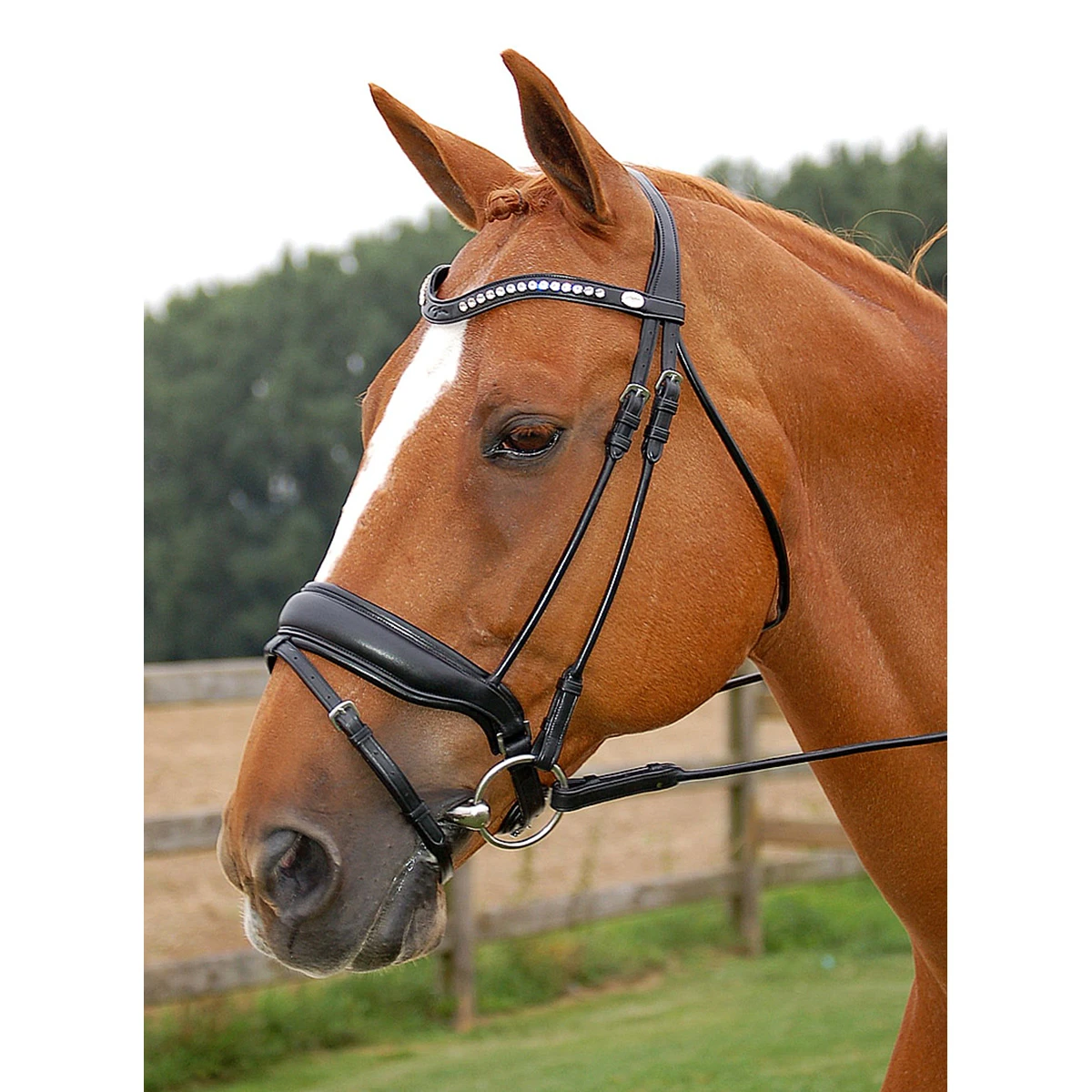 Hoofdstel Dy'on DRC Mat Black-black - Afbeelding 4