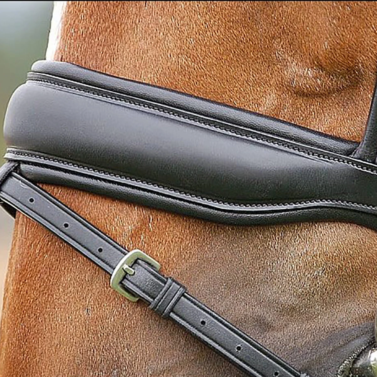 Hoofdstel Dy'on DRC Mat Black-black - Afbeelding 5