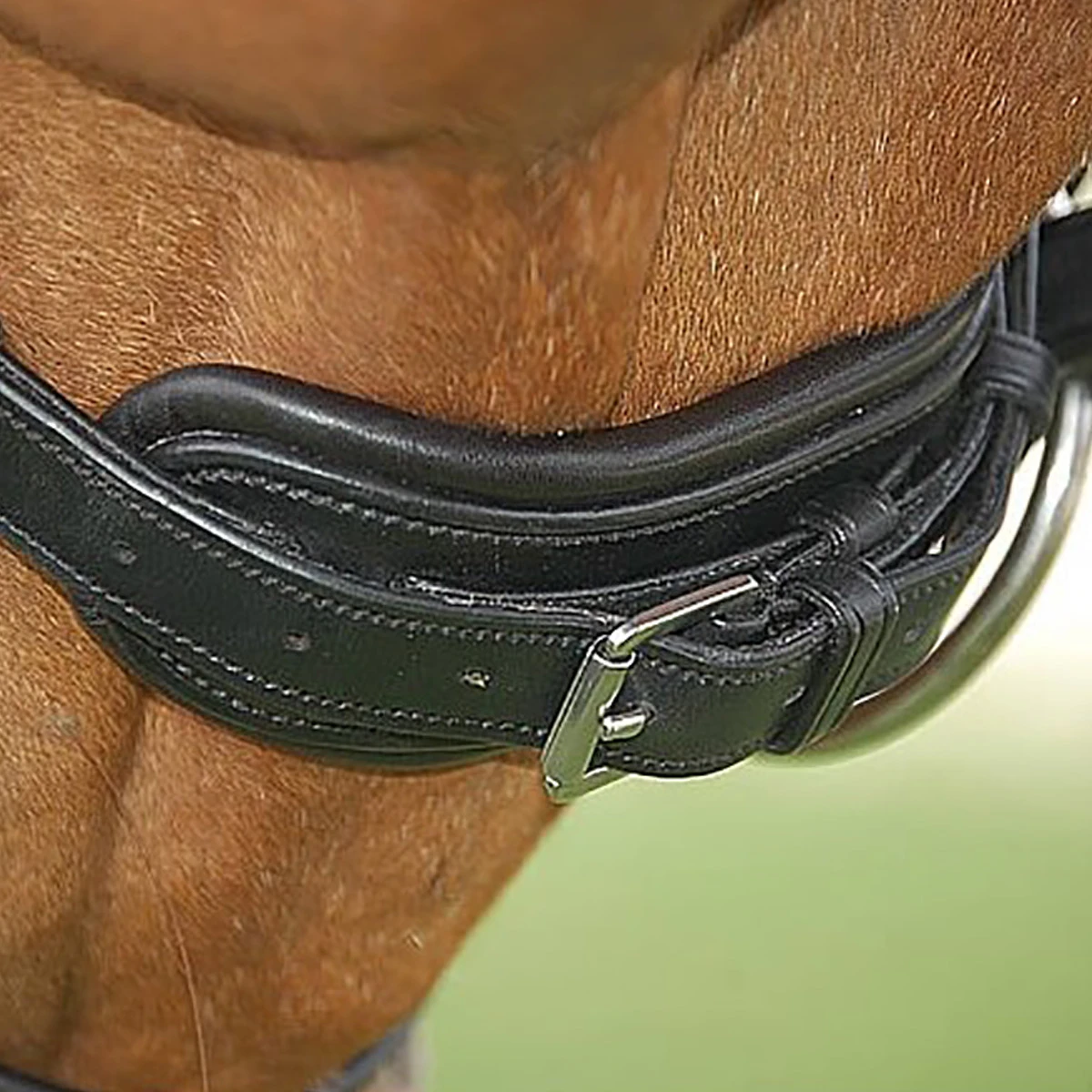 Hoofdstel Dy'on DRC Mat Black-black - Afbeelding 6