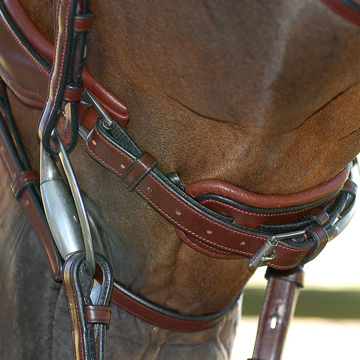 Hoofdstel Dy'on DRC Matte Medium Crank Noseband Bruin - Afbeelding 2