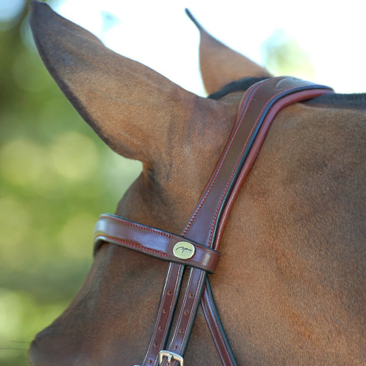 Hoofdstel Dy'on DRC Matte Medium Crank Noseband Bruin - Afbeelding 3