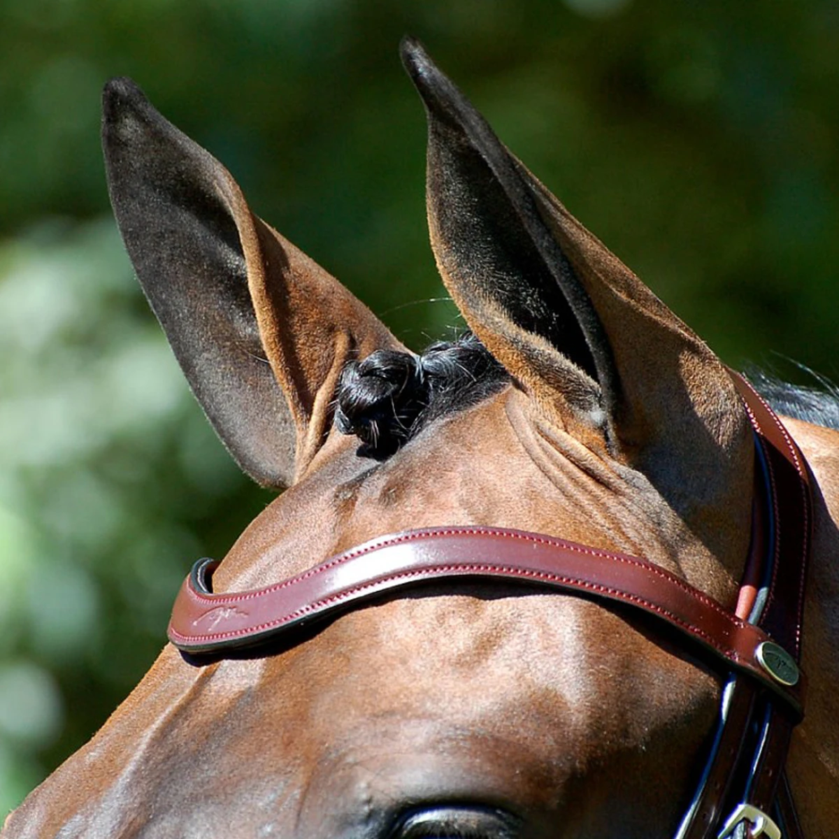 Hoofdstel Dy'on DRC Matte Medium Crank Noseband Bruin - Afbeelding 4