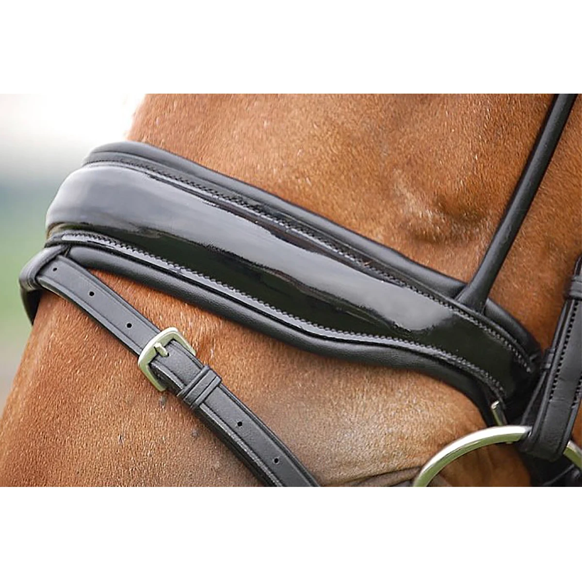 Hoofdstel Dy’on DRC Rondgenaaid Lak Black-black - Afbeelding 5