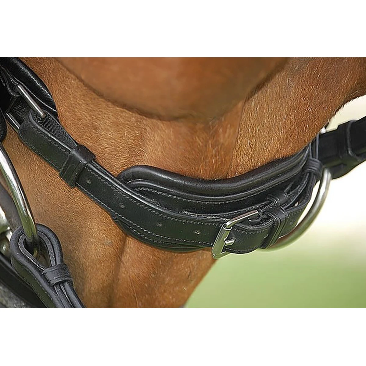 Hoofdstel Dy’on DRC Rondgenaaid Lak Black-black - Afbeelding 7