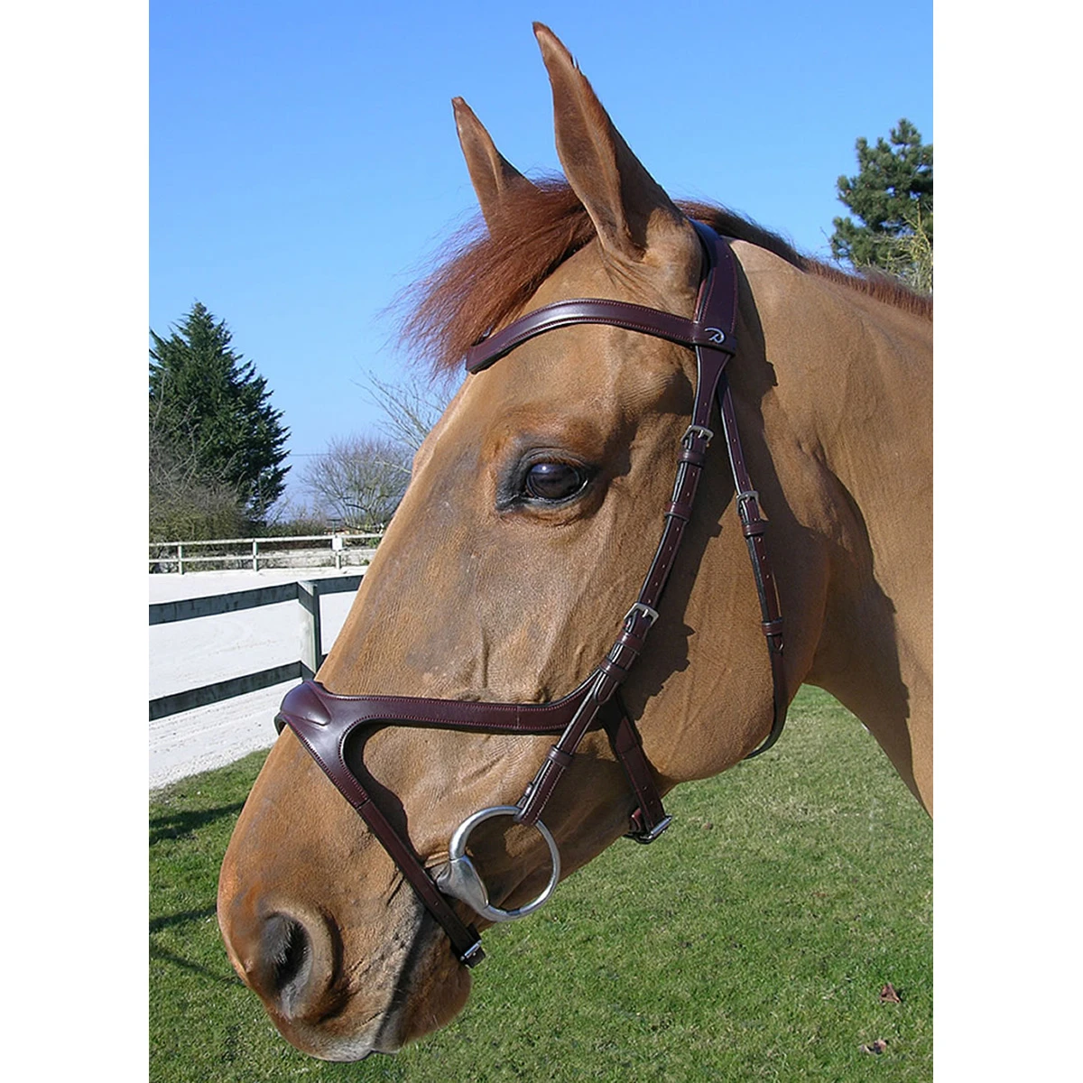 Hoofdstel Dy'on NEC X Fit Bruin - Afbeelding 4