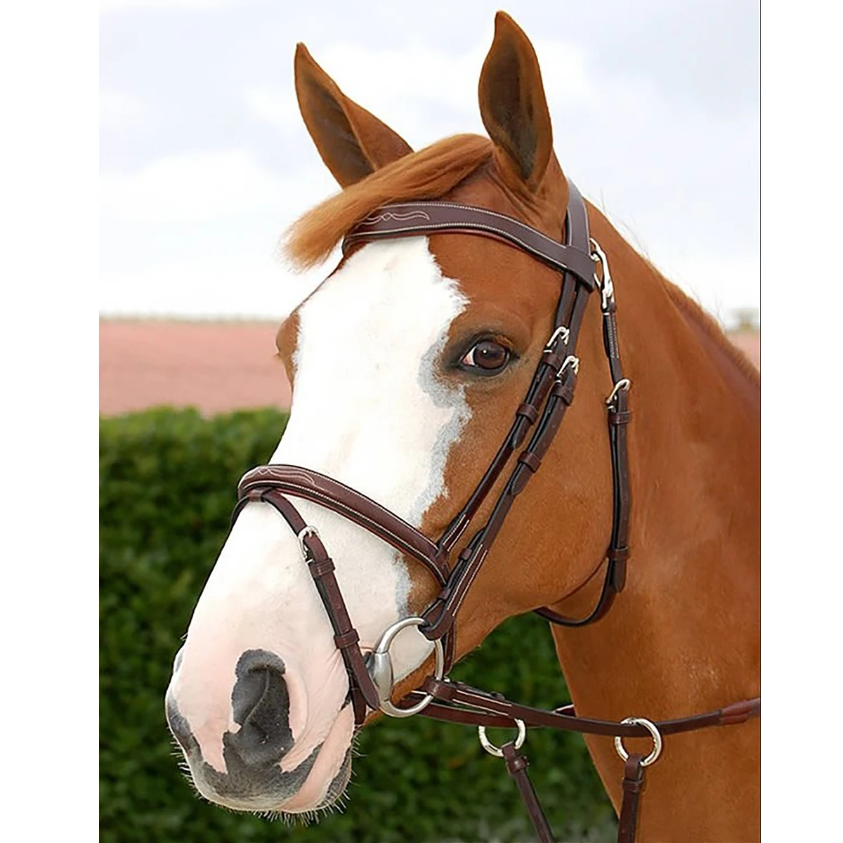 Hoofdstel Dy'on Working Collection Flash Noseband With Snap Hooks Bruin - Afbeelding 3