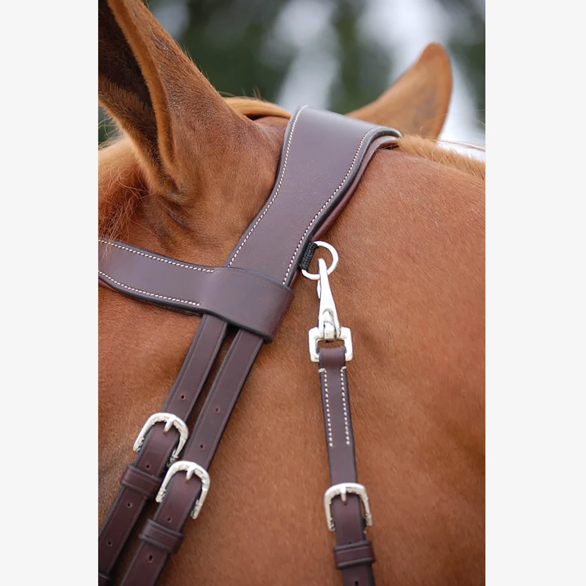 Hoofdstel Dy'on Working Collection Flash Noseband With Snap Hooks Bruin - Afbeelding 4