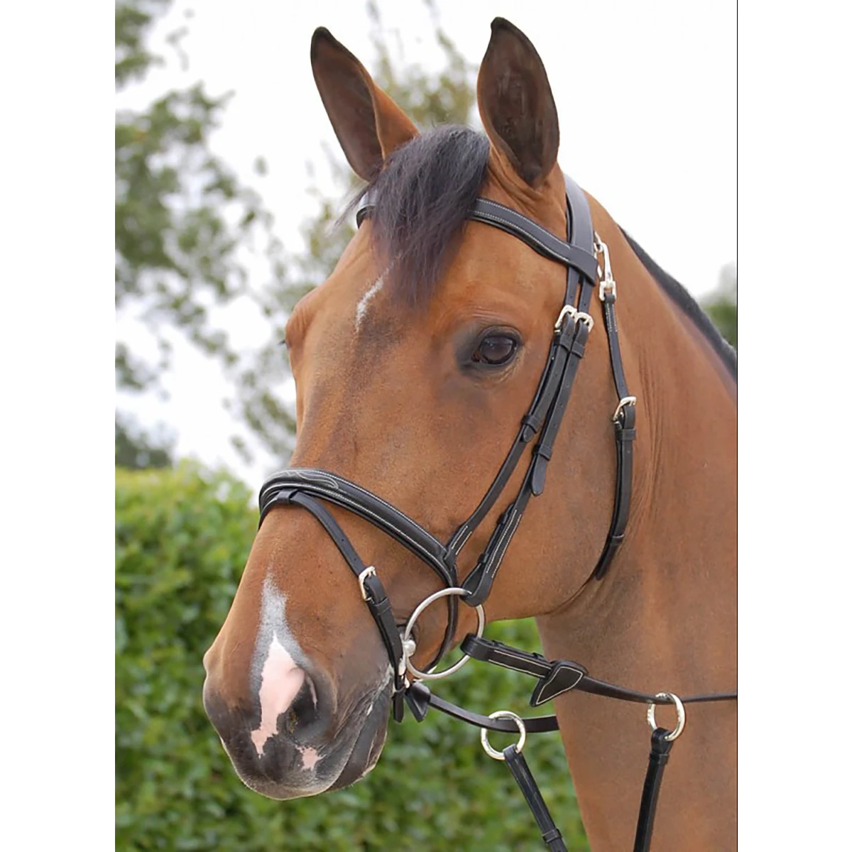 Hoofdstel Dy'on Working Collection Flash Noseband With Snap Hooks Zwart - Afbeelding 3