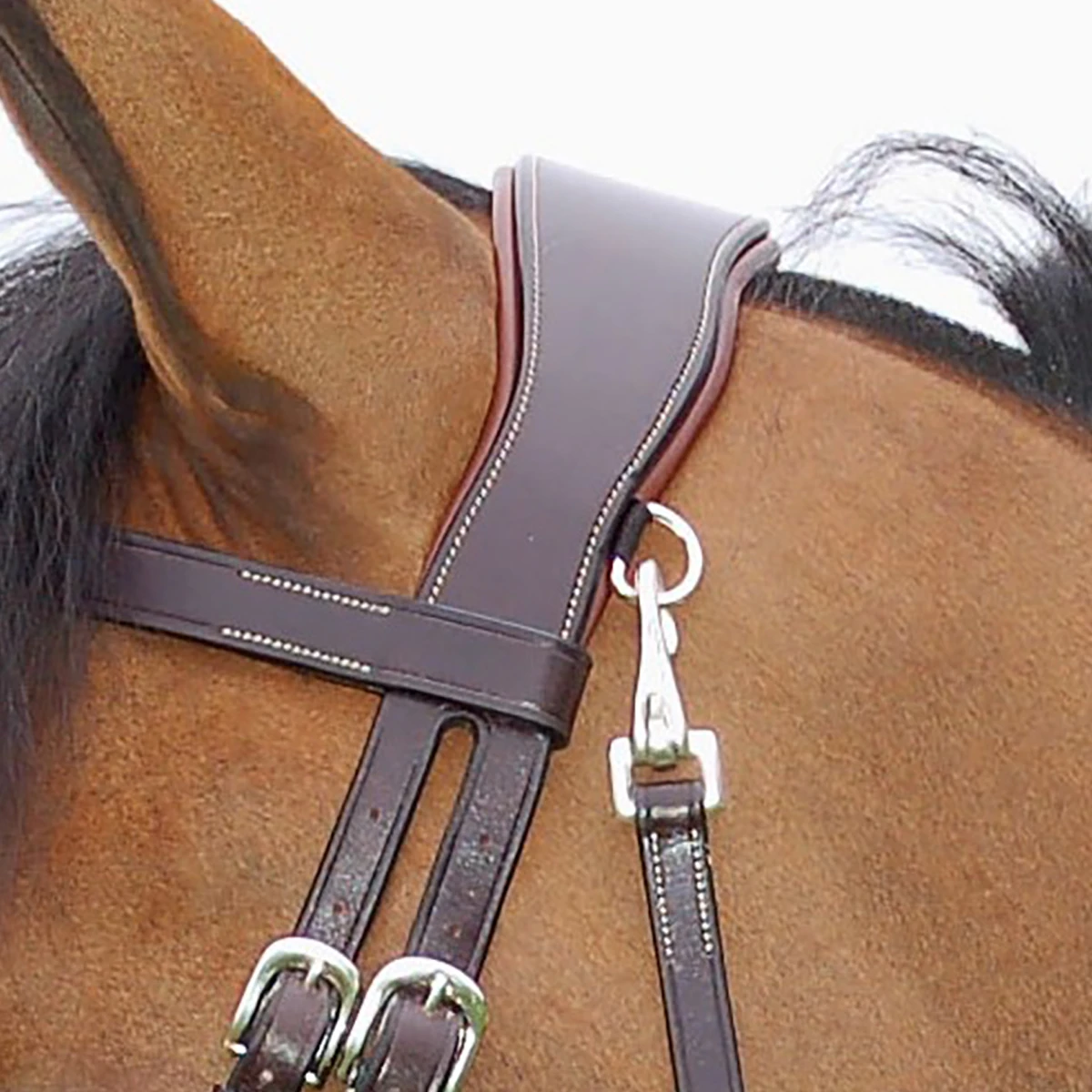 Hoofdstel Dy'on Working Collection Flat Leather With Snap Hooks Bruin - Afbeelding 4