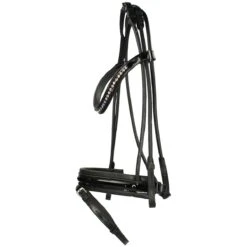 Hoofdstel Epplejeck Oxford Black-black