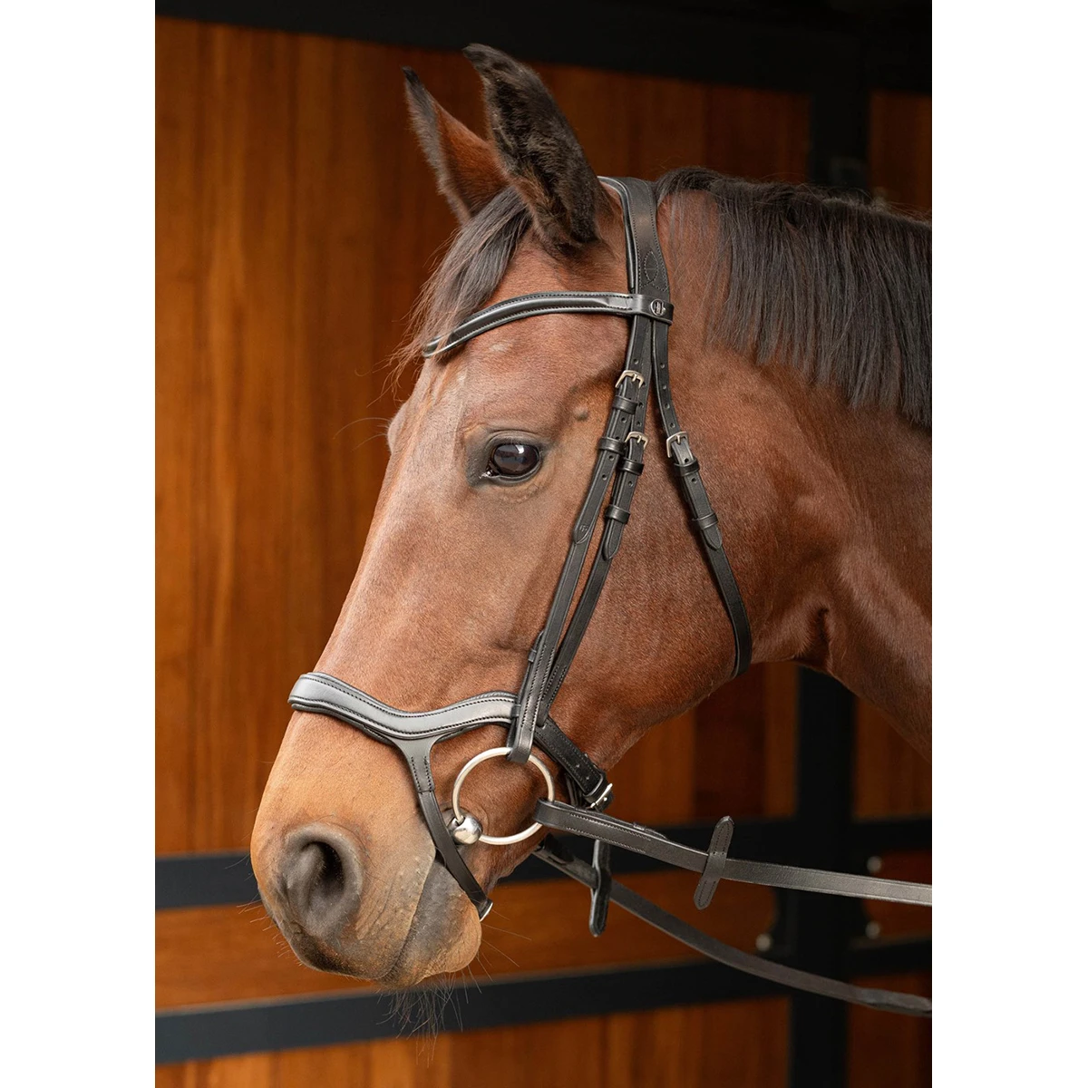 Hoofdstel Harry's Horse Anatomic Zwart - Afbeelding 2