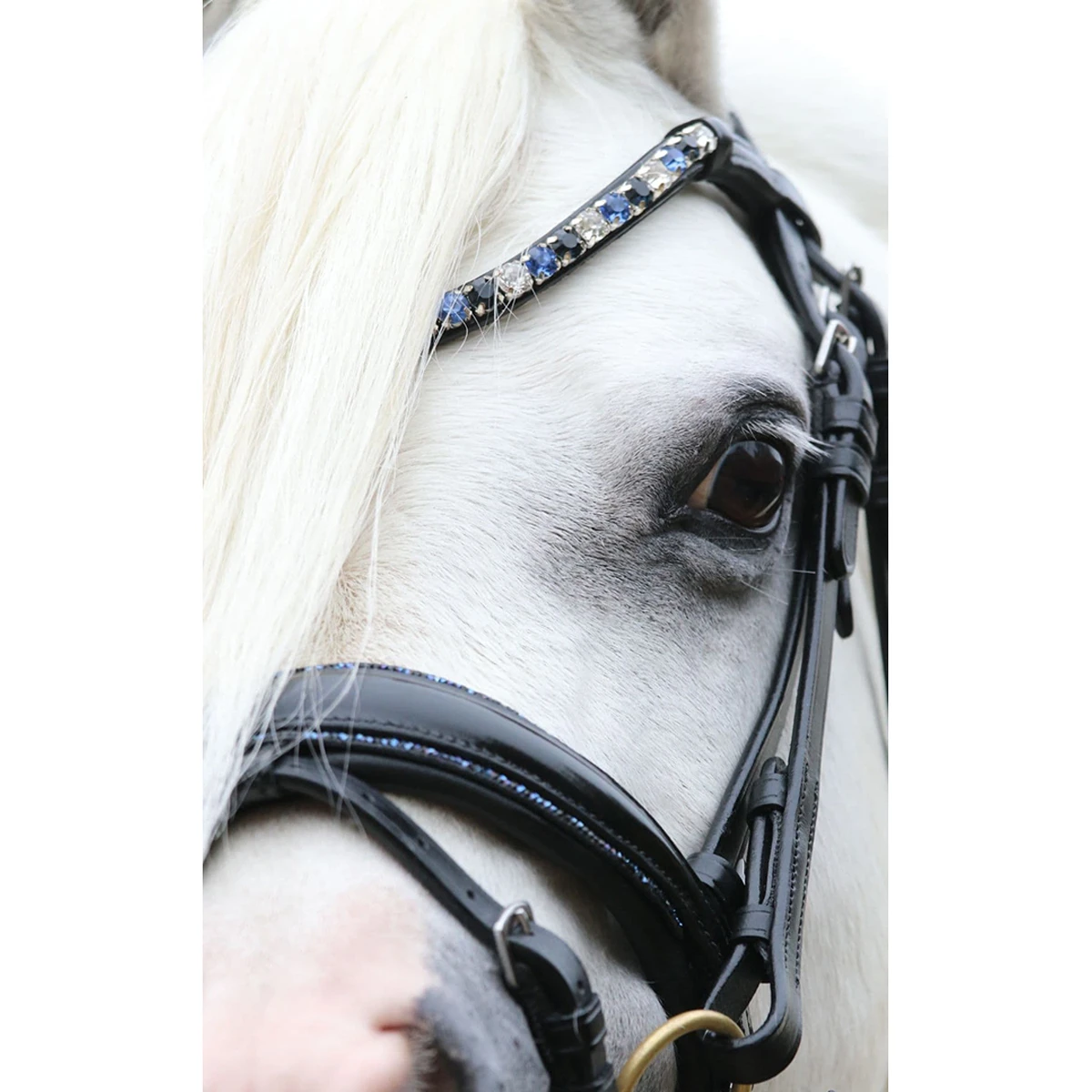 Hoofdstel HB Showtime Special A-Pony Black-blue - Afbeelding 2