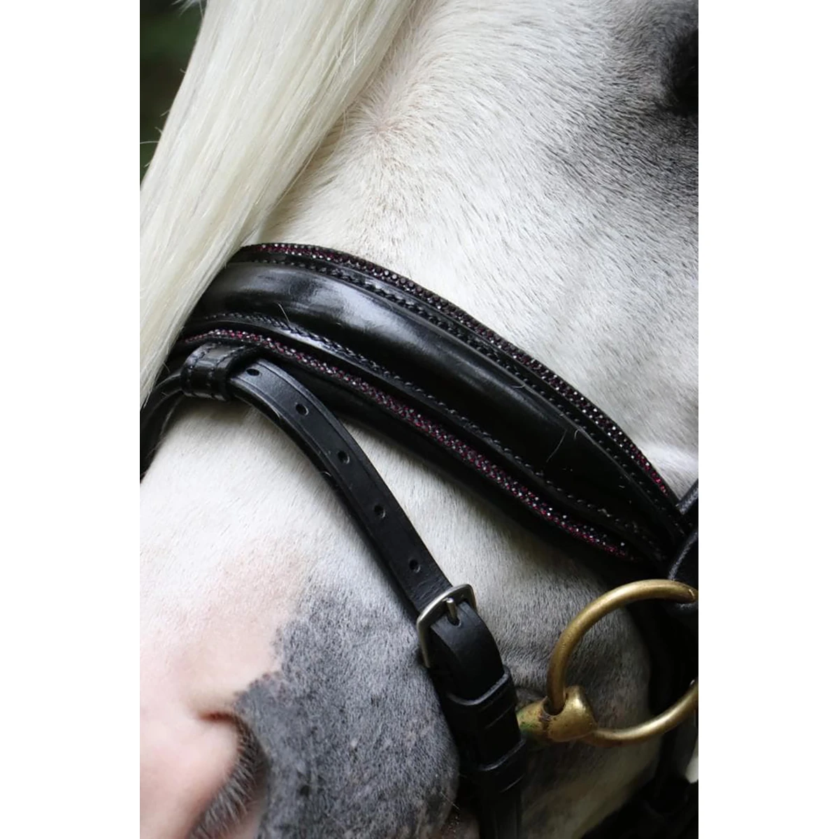 Hoofdstel HB Showtime Special A-Pony Zwart-rood - Afbeelding 2