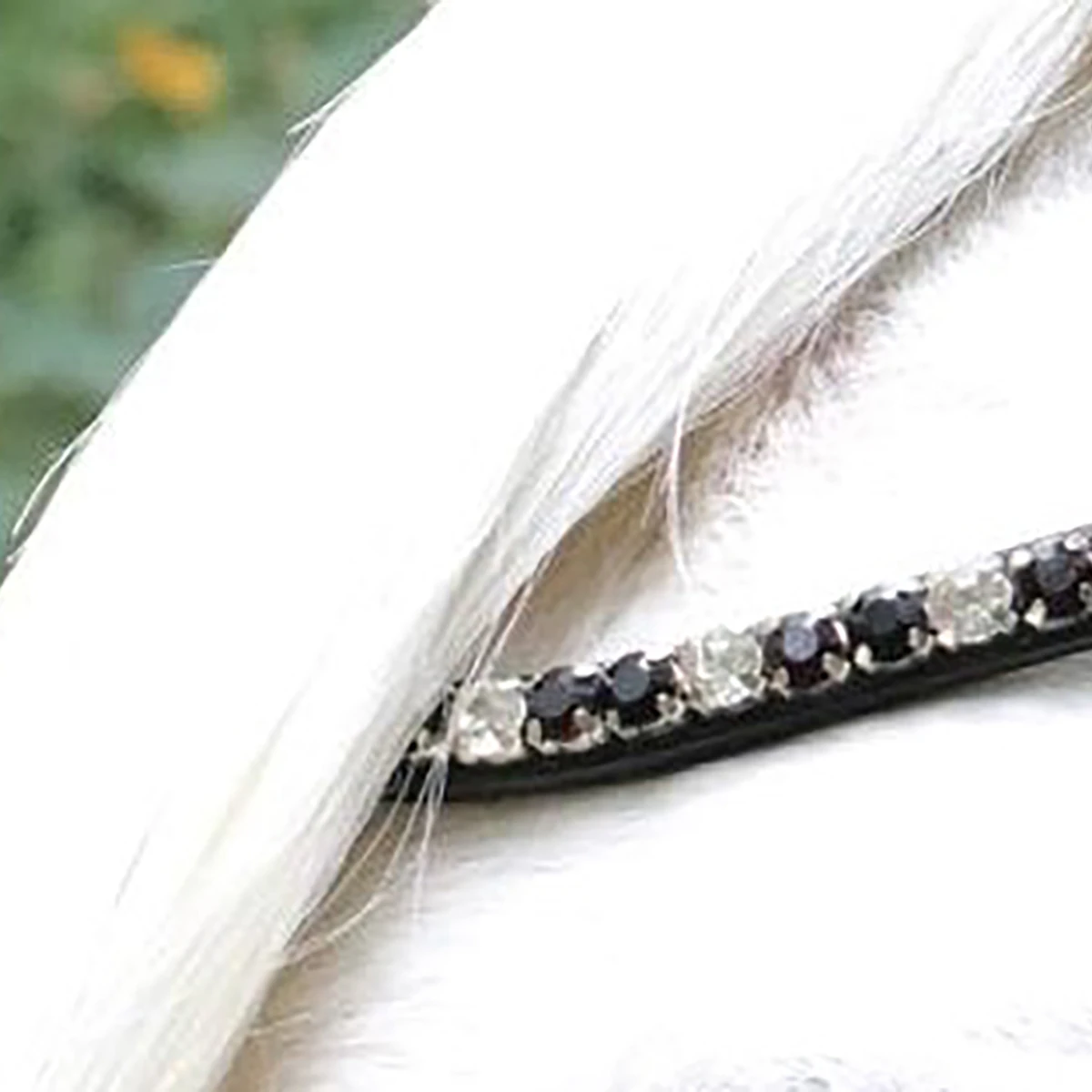 Hoofdstel HB Showtime Special A-Pony Zwart-rood - Afbeelding 3