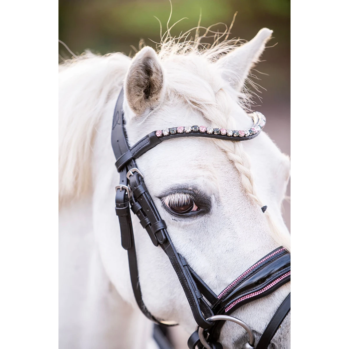 Hoofdstel HB Showtime Special A-Pony Zwart-roze - Afbeelding 3