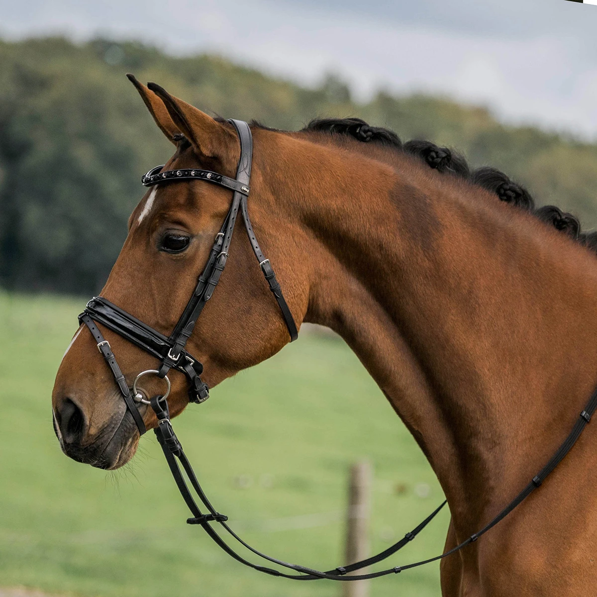 Hoofdstel Horka Flamingo Zwart