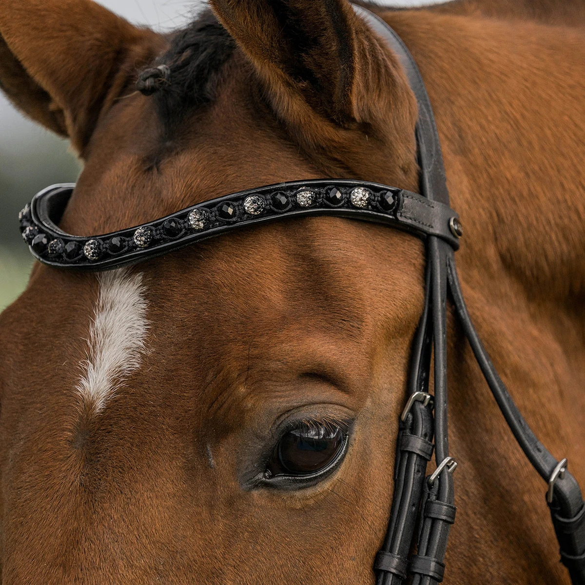 Hoofdstel Horka Flamingo Zwart - Afbeelding 2