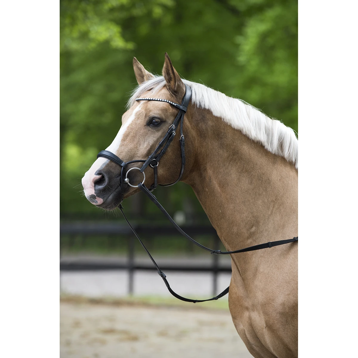 Hoofdstel Horsegear Aquila Deluxe Zwart - Afbeelding 4