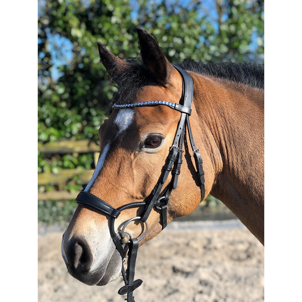 Hoofdstel Horsegear Aquila Deluxe Zwart - Afbeelding 6