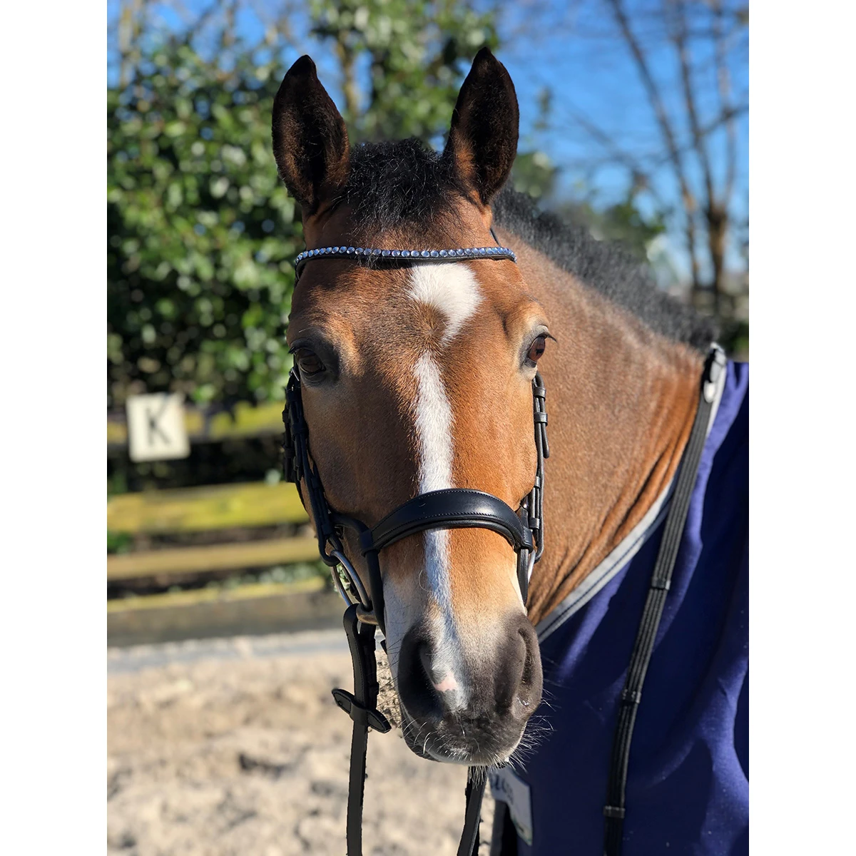 Hoofdstel Horsegear Aquila Deluxe Zwart - Afbeelding 7