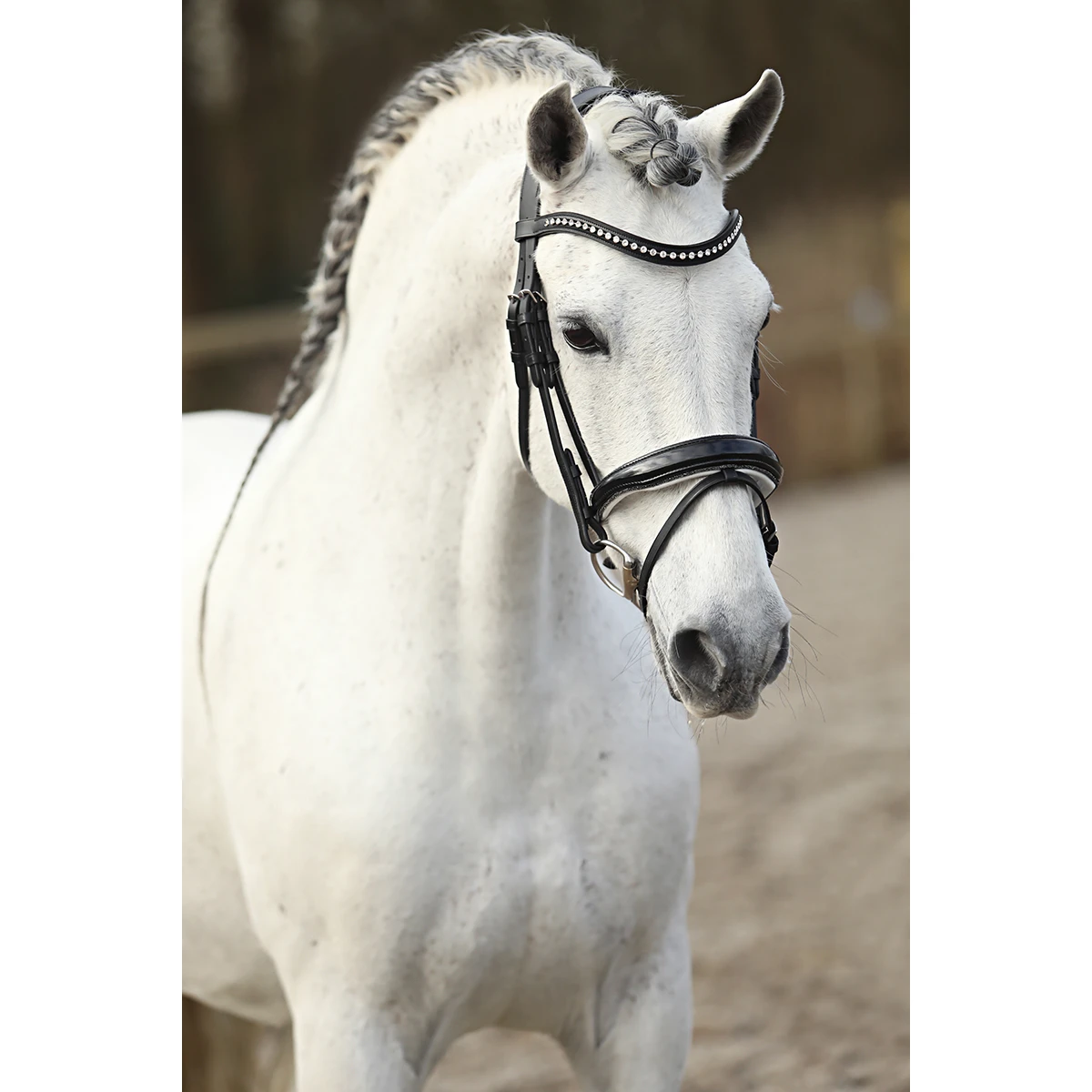 Hoofdstel Horsegear HGLucido Zwart-wit - Afbeelding 4