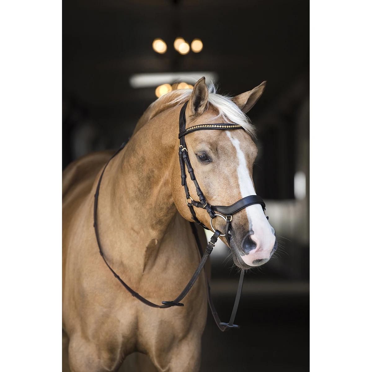 Hoofdstel Horsegear Quasar Bruin-goud - Afbeelding 5