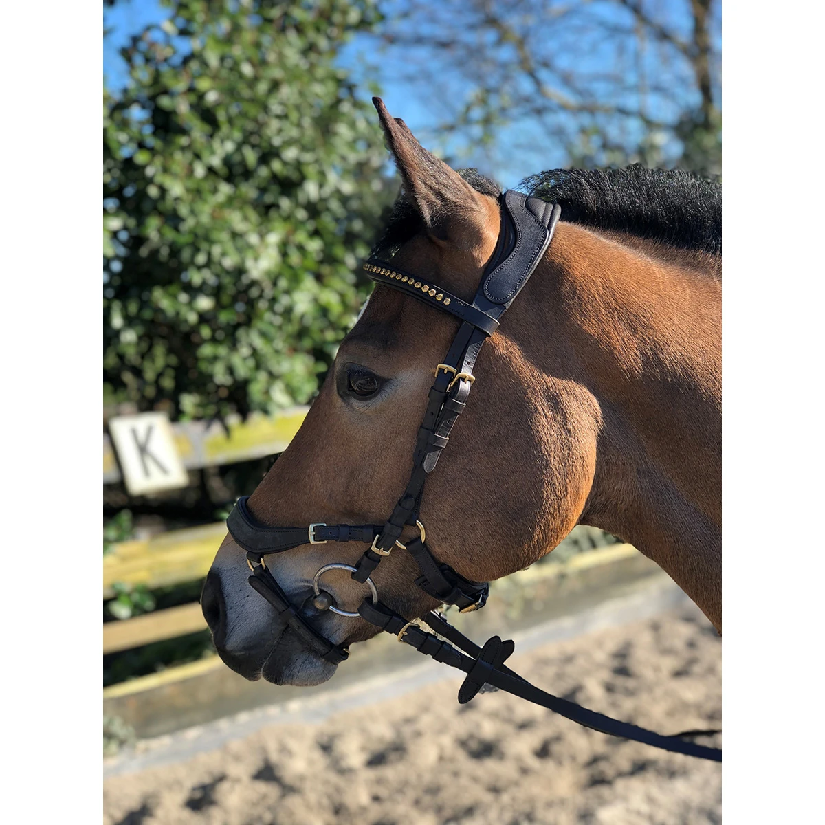 Hoofdstel Horsegear Quasar Bruin-goud - Afbeelding 6