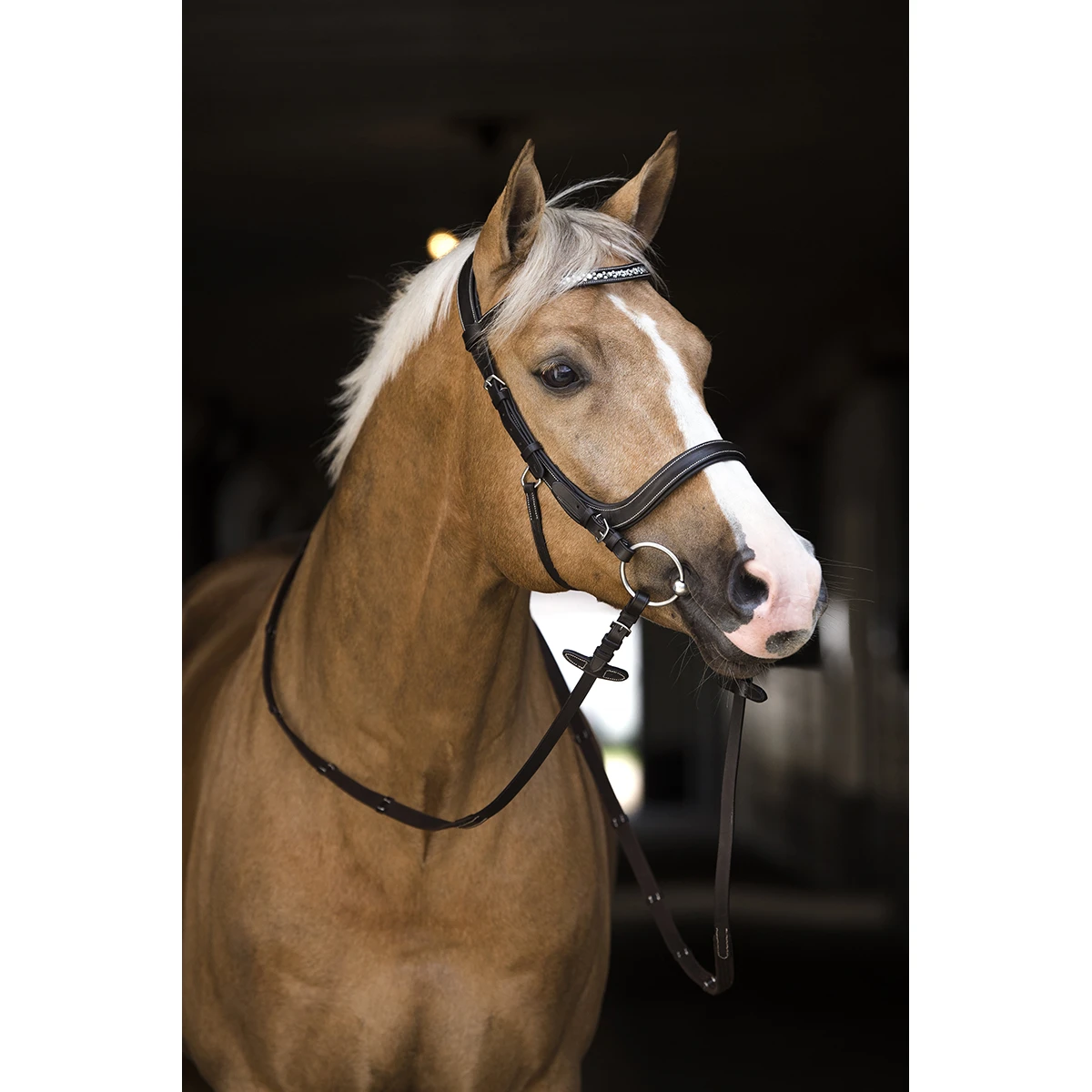 Hoofdstel Horsegear Styx Bruin - Afbeelding 2