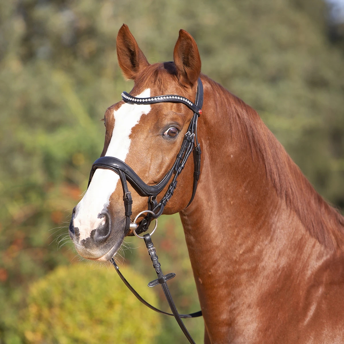 Hoofdstel Kieffer Ultrasoft Amy Zwart - Afbeelding 2