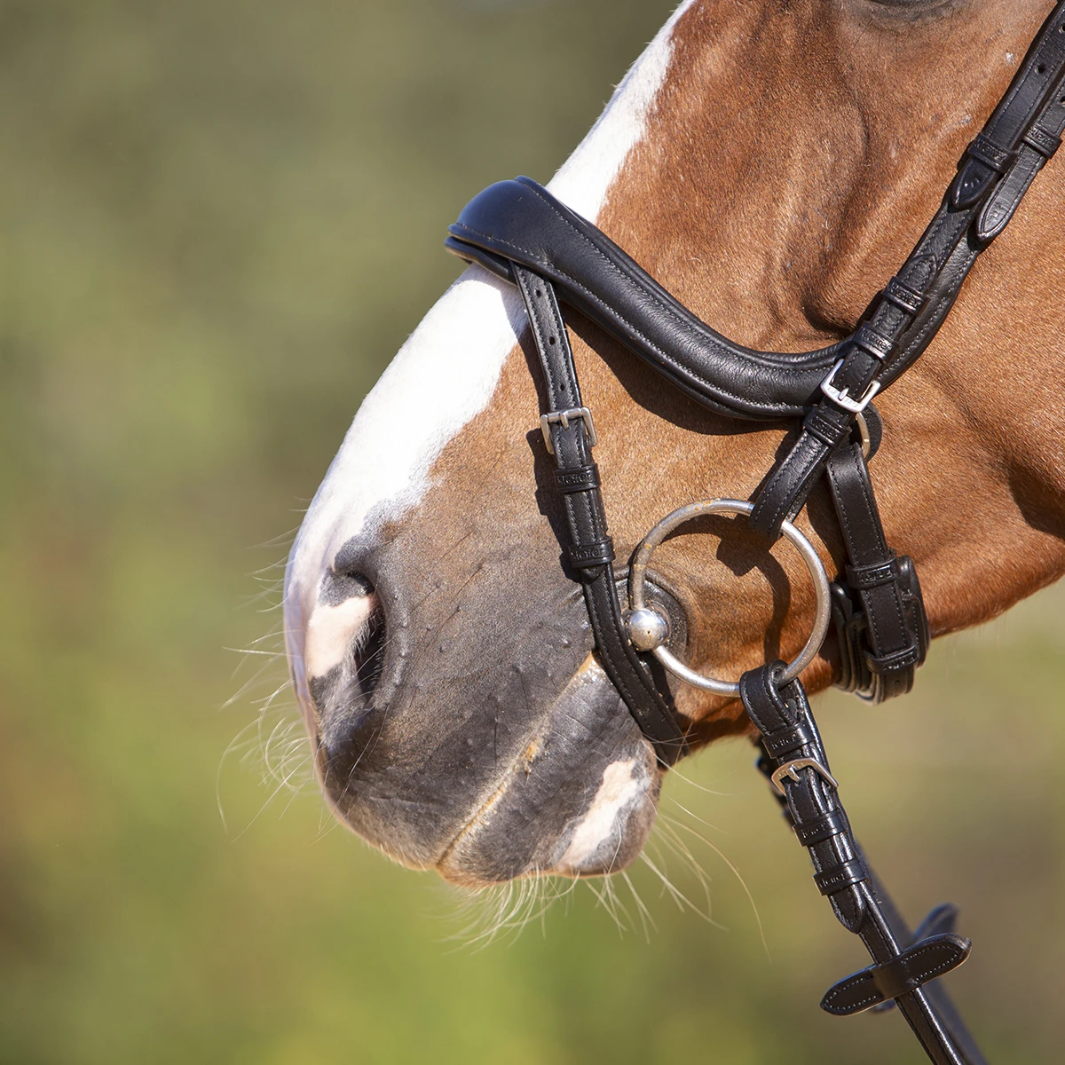 Hoofdstel Kieffer Ultrasoft Amy Zwart - Afbeelding 5