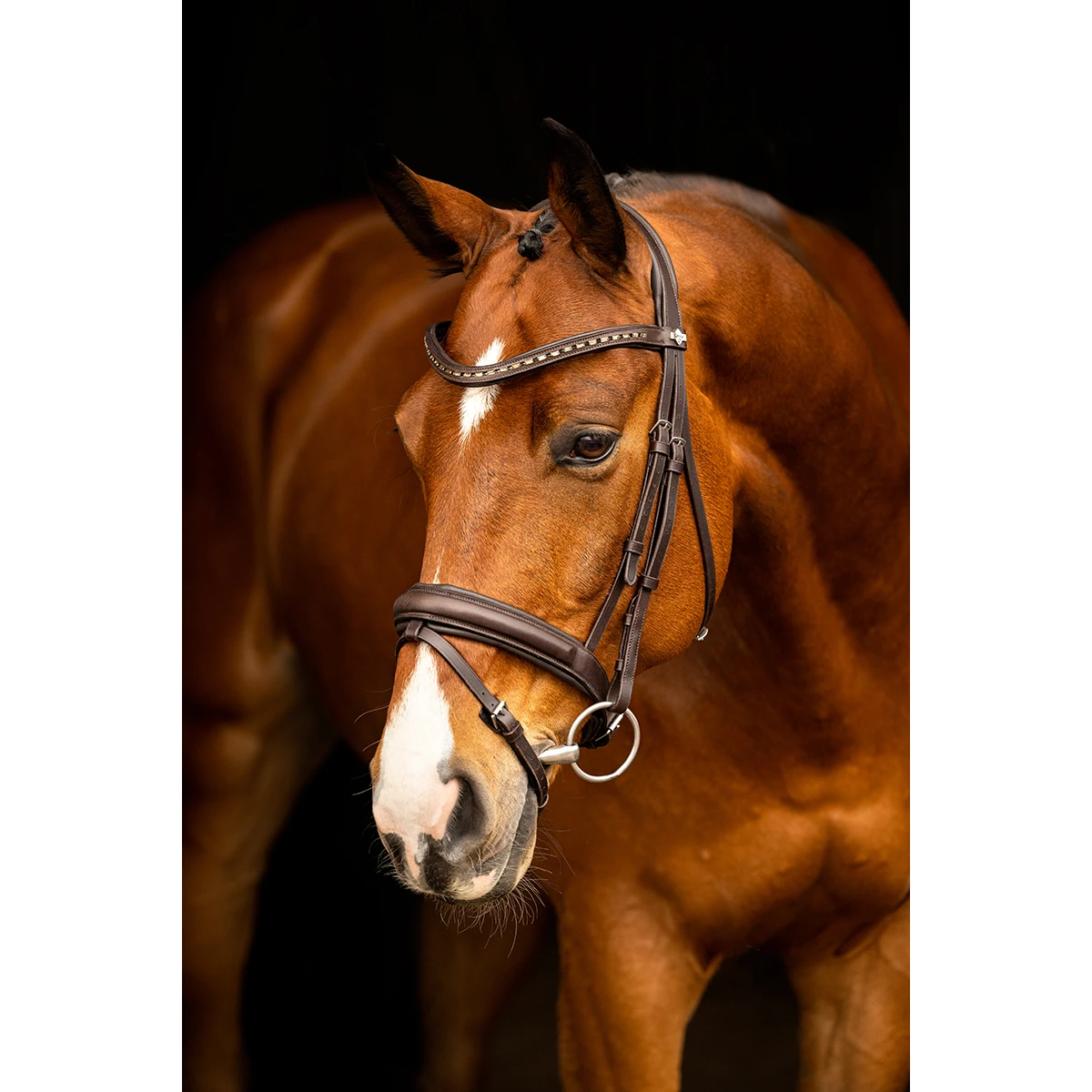 Hoofdstel LeMieux Arika Dressage Bruin - Afbeelding 2