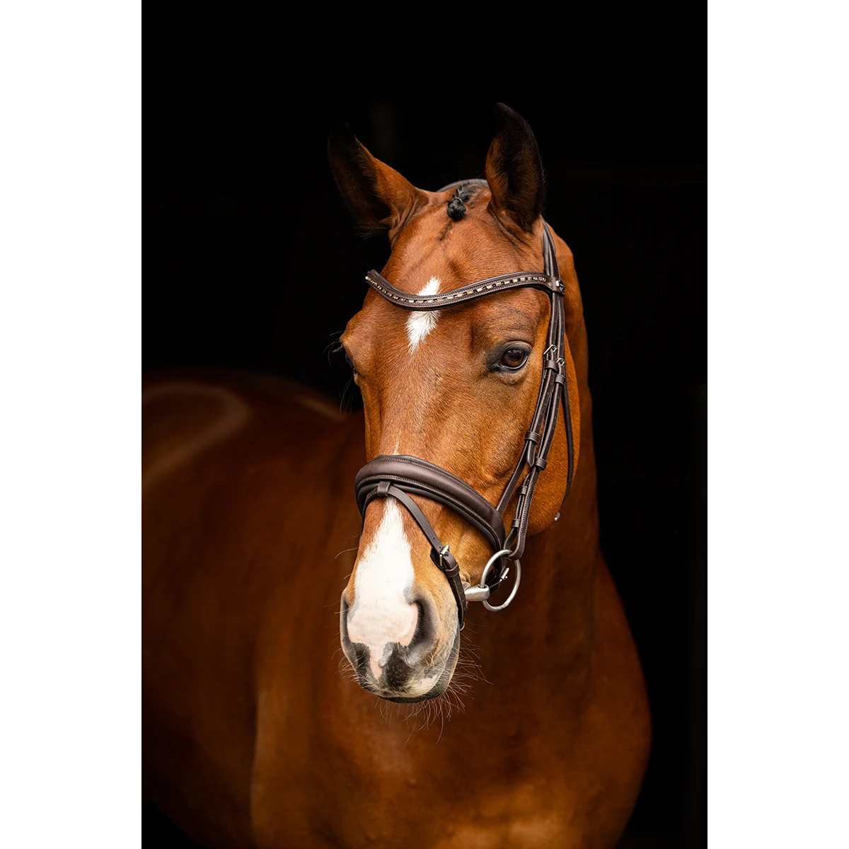 Hoofdstel LeMieux Arika Dressage Bruin - Afbeelding 3