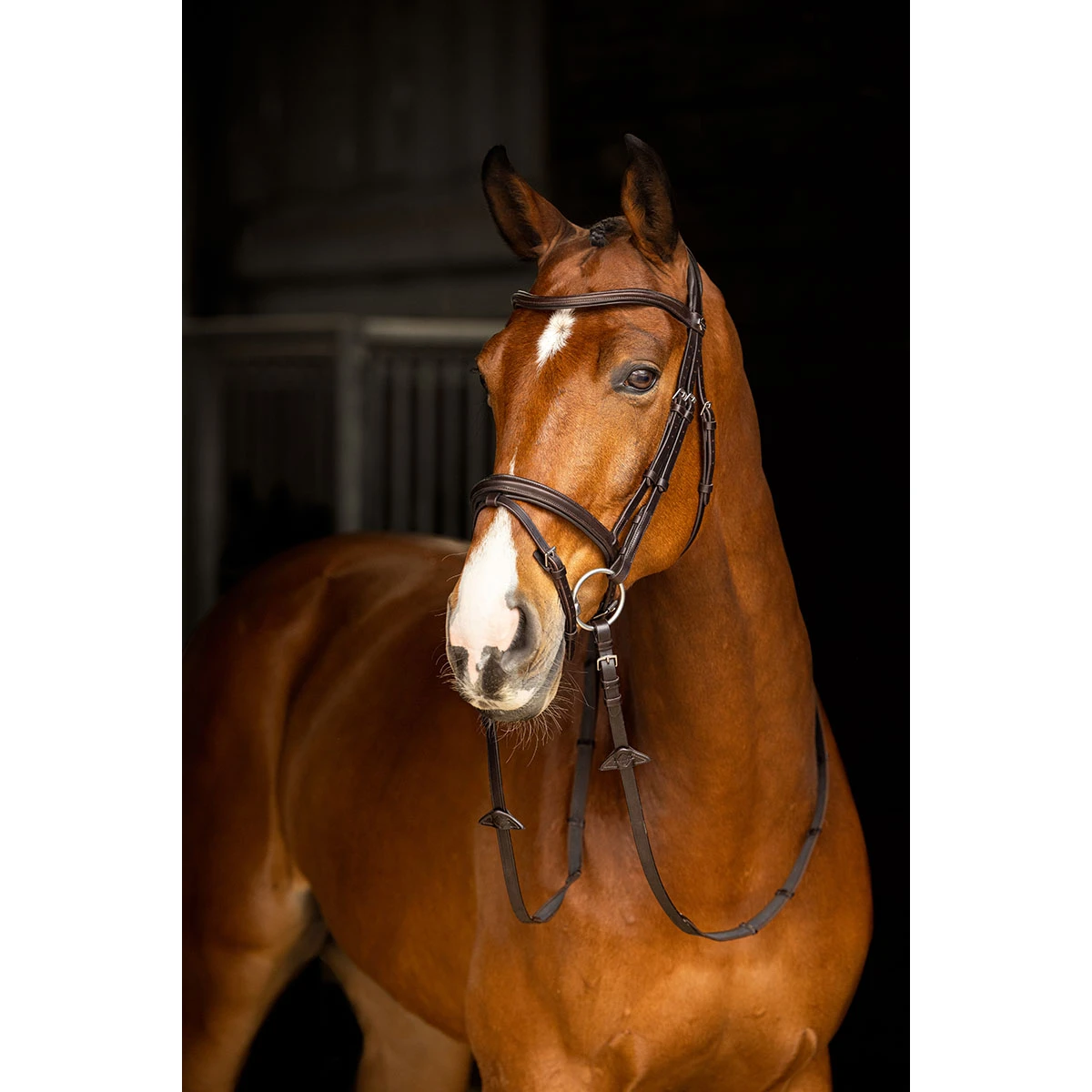 Hoofdstel LeMieux Arika Flash Bruin - Afbeelding 3