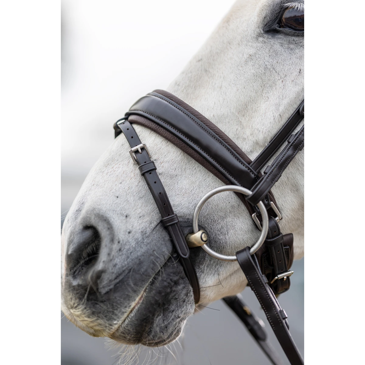 Hoofdstel LeMieux Classic Dressage Bruin - Afbeelding 4