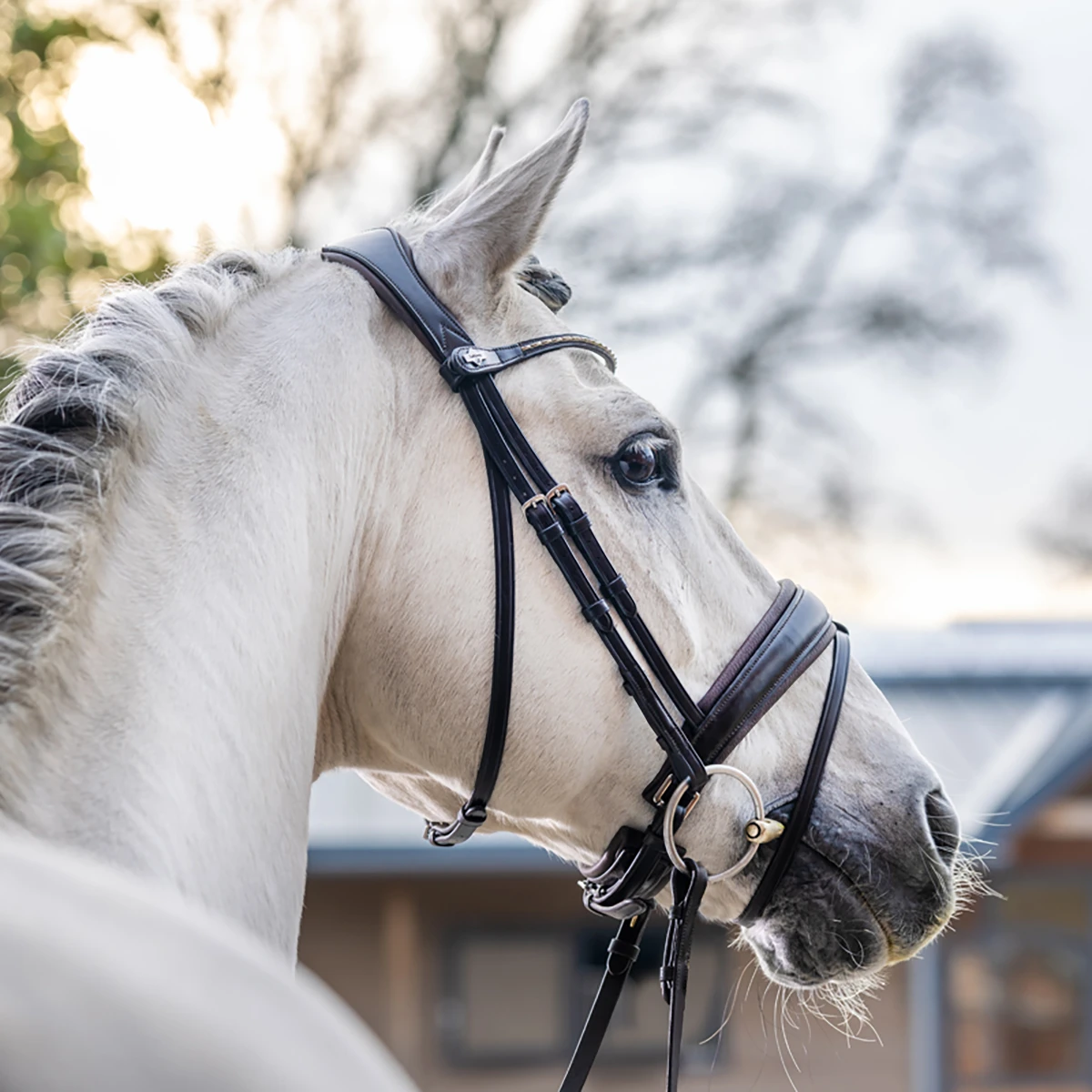 Hoofdstel LeMieux Classic Dressage Bruin - Afbeelding 6
