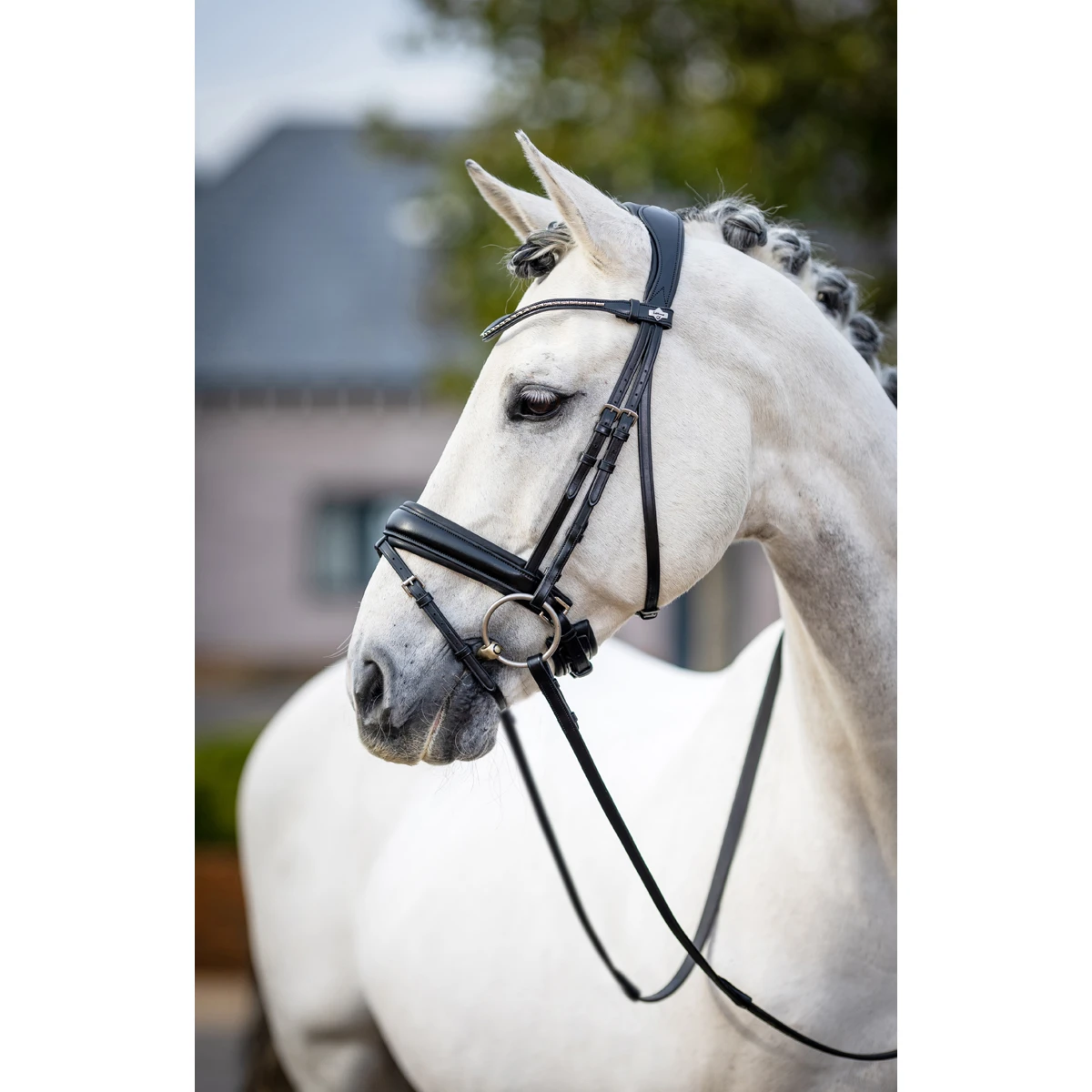 Hoofdstel LeMieux Classic Dressage Zwart - Afbeelding 3